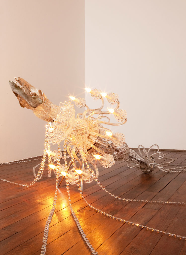 Patrick Neu