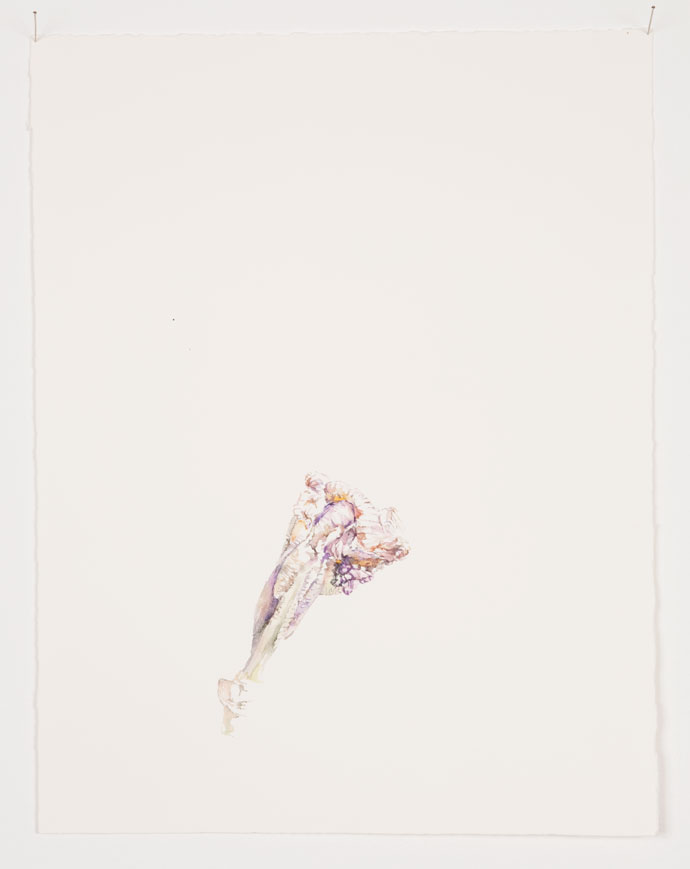 Patrick Neu
