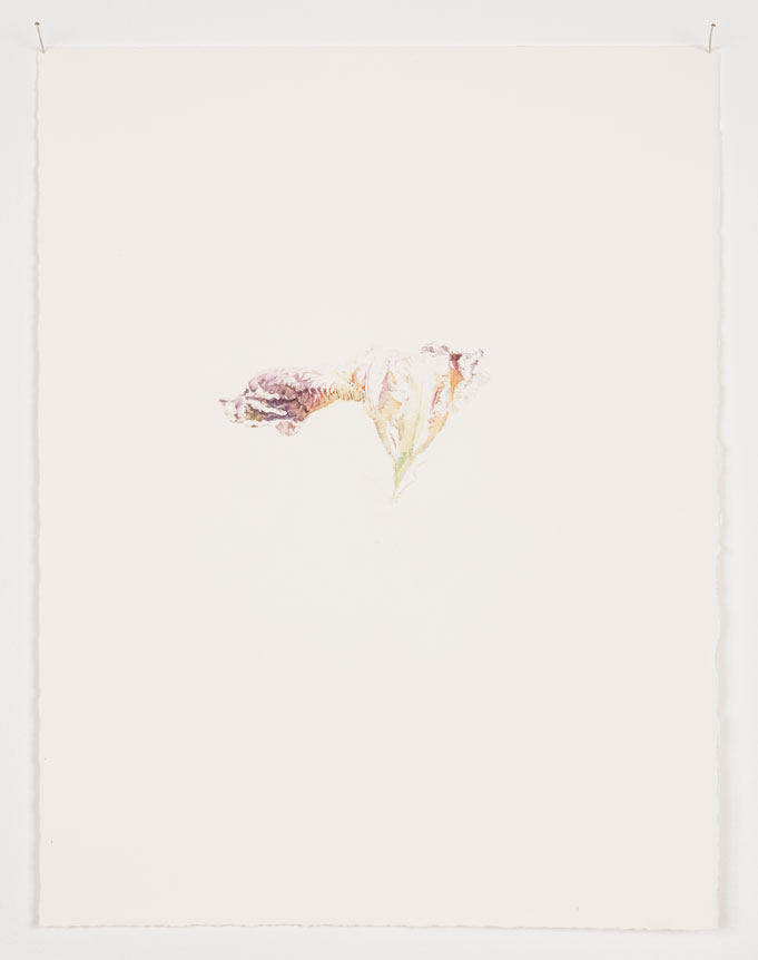 Patrick Neu