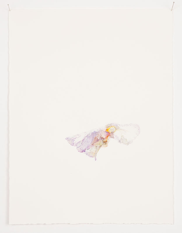 Patrick Neu