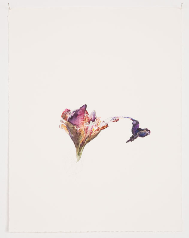 Patrick Neu