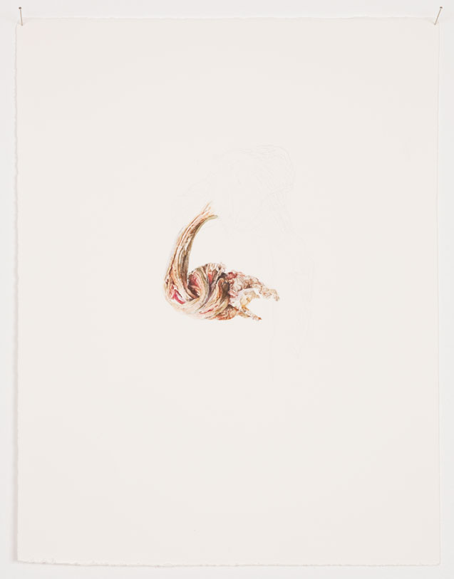 Patrick Neu