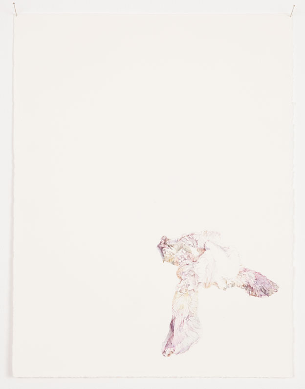 Patrick Neu